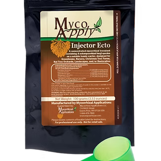 Big Foot Ecto-Mycorrhizae